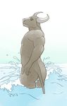  9x9 butt horn looking_at_viewer male muscular nude sea smile water water_buffalo wave 