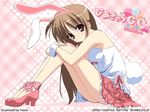  animal_ears brown_eyes brown_hair bunny_ears bunny_tail camisole fumio_(ura_fmo) high_heels highres kunugi_ayano leg_hug long_hair long_legs non-web_source pia_carrot_(series) pia_carrot_e_youkoso!!_g.o. ribbon shoes sitting skirt smile solo tail wallpaper 