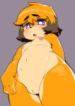  2018 absurd_res anthro bandage belly berseepon09 black_nose blue_eyes blush breasts canine dog dog_(berseepon09) female floppy_ears front_view fur grey_background half-closed_eyes hi_res looking_at_viewer looking_down low-angle_view mammal navel orange_fur pasties purple_eyes pussy simple_background small_breasts solo standing sweat sweatdrop tan_fur three_tone_fur white_pupils 