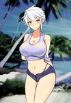  1girl breasts female miyabi_(senran_kagura) senran_kagura solo 