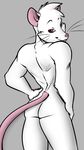  albino big_butt big_thighs butt fur hair hand_on_hip isaac lordboo male mammal muscular nude pocketmew rat red_eyes rodent short_hair solo suggestive voluptuous whiskers white_fur wide_hips 