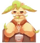  blush brown_eyes bucket censored cum cum_in_pussy cum_inside eeveelution female leafeon nintendo open_mouth pok&eacute;mon pussy simple_background sitting solo spread_pussy spreading sweat video_games wahitouppe white_background 