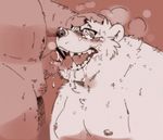  2016 ahegao bear blush censored cum cum_in_mouth cum_inside cum_on_face cum_on_glasses cum_on_penis drooling duo fellatio hand_on_head humanoid_penis kemono kinoshita-jiroh kneeling looking_pleasured male male/male mammal monochrome moobs oral overweight penis polar_bear saliva saliva_on_penis sepia sex simple_background small_penis steam sweat tears 