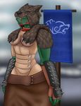  anthro argonian armor breasts cloth clothing derangedrake female flag fur scalie solo standing the_elder_scrolls video_games 