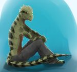  anthro aquaticas australian_water_dragon clothed clothing hi_res male pajamas reptile scalie simple_background sitting solo topless 