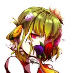  ascot flower green_hair hair_flower hair_ornament highres itocoh kazami_yuuka lily_(flower) lily_of_the_valley plaid plaid_vest red_eyes rose short_hair solo touhou vest 