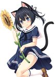  animal_ears black_hair blue_eyes cat_ears cat_tail dress flower looking_at_viewer original panties print_panties sakuraba_hikaru_(loveindog) sakurai_kanon short_hair simple_background solo star star_panties star_print sunflower tail underwear white_panties 