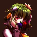  ascot black_background close-up flower green_hair hair_flower hair_ornament highres itocoh kazami_yuuka lily_(flower) lily_of_the_valley plaid plaid_vest red_eyes rose short_hair solo touhou vest 