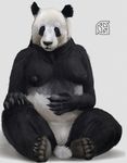  anthro bear black_nipples breasts claws clothing cosmiclife female fur mammal multicolored_fur nipples panda panties pinup pose simple_background slightly_chubby solo two_tone_fur underwear 