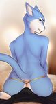  2016 anthro bed blue_eyes blue_fur blue_tail boxers_(clothing) bulge butt cat clothed clothing digital_media_(artwork) dipstick_tail duo eyebrows eyelashes faceless_male feline female first_person_view fur g-string hi_res human light_skin lips looking_at_viewer looking_back lying male male/female male_pov mammal multicolored_fur multicolored_tail on_back on_bed pink_lips pink_nose rear_view shysiren signature syria teasing topless two_tone_fur two_tone_tail underwear white_fur white_tail 
