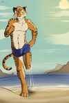  abs anthro beach clothed clothing feline fur hair male mammal outside seaside smile solo standing stripes swimsuit tenaflux tiger topless 