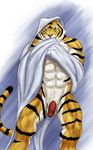  anthro balls feline male mammal muscular penis rwolf solo tiger 