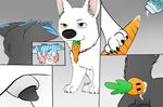  2016 all_fours anal anal_penetration animal_genitalia animal_penis anus balls blush bolt bolt_(film) brown_eyes brown_eys butt canine carrot character_from_animated_feature collar digital_media_(artwork) dildo disney dog feral food fur german_shepherd lube male male/male mammal mr_carrot penetration penis sex sex_toy sheath simple_background smile vegetable white_fur white_german_shepherd why 