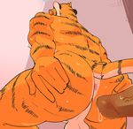  absurd_res anthro anus balls blush butt colored erection feline hi_res looking_at_viewer male male/male mammal muscular nude penis presenting presenting_hindquarters simple_background spreading tiger ujishiyo 