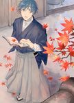  blue_eyes blue_hair book creamyya eyebrows eyebrows_visible_through_hair hakama holding holding_book japanese_clothes kaito leaf looking_up male_focus open_book sandals shosei solo tabi tree_branch vocaloid 