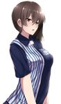  alternate_costume arms_at_sides blouse breasts brown_eyes brown_hair employee_uniform highres kaga_(kantai_collection) kantai_collection large_breasts lawson long_hair looking_at_viewer parted_lips side_ponytail solo striped_blouse tai_(nazutai) uniform upper_body 