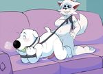  anal anal_penetration anthro ball_gag brian_griffin canine dog duo eroborus family_guy fox gag kitsune_(ero) leash male male/male mammal penetration penis sofa 