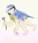  avian beak bird feathers human_arms simple_background what 