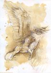  avian beak brown_eyes claws dragon feathered_wings feathers fur gryphon horn isvoc smile solo tan_fur traditional_media_(artwork) white_feathers wings 