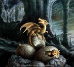  anne_stokes cave claws dragon egg tagme wings young 