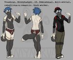  anthro badger briefs bulge clothed clothing english_text fur hair male mammal model_sheet mustelid mynerva solo text underwear watermark 