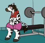  2016 aliasing anthro clothed clothing digital_media_(artwork) equine exercise hair hooves inside male mammal open_mouth red_eyes shorts simple_background sitting smile solo stripes sweat topless towel trout_(artist) weights workout zebra 