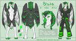  anthro avian beak bird bruta dreadlocks glowstick male model_sheet neko-maya owl rave scar text wings 