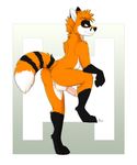  2016 anus balls butt canine fox kwik looking_at_viewer looking_back male mammal nude penis raised_tail solo 
