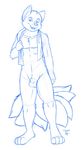  2016 animal_genitalia balls canine fox looking_at_viewer male mammal multi_tail nude os sheath sketch solo towel 