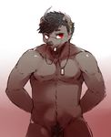  bear black_hair body_hair brown_fur dog_tags eyewear fur glasses hair hands_behind_back happy_trail male mammal navel nipples penis penis_base red_eyes simple_background solo standing 騰騰騰 