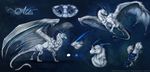  4_toes blue_background blue_eyes claws curved_horn digital_media_(artwork) dragon feral flying fur furred_dragon horn isvoc membranous_wings model_sheet pawpads simple_background smooth_horn solo standing toes white_fur wings 