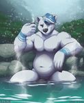  alcohol balls bear beverage chub_(disambiguation) digital_media_(artwork) drinking hot_spring male mammal musclegut nanuk nipples nude outside penis polar_bear sake shiuk sitting solo water 