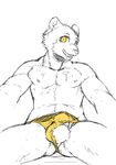  anthro balls briefs bulge clothing drooling feline mammal panther saliva simple_background sitting underwear yellow_eyes 騰騰騰 