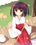  animal bekotarou black_hair bow cat collarbone eyebrows eyebrows_visible_through_hair from_above hair_bow hakama japanese_clothes looking_up miko original red_bow red_eyes red_hakama short_hair sitting solo two_side_up wooden_floor 