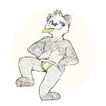  3_toes bear bulge clothing fur grey_fur hands_on_hips jockstrap leaf male mammal panda pawpads simple_background sketch solo toes underwear white_fur young 騰騰騰 