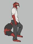  anthro black_fur clothing eyewear fur glasses jeans male mammal pants raccoon red_fur shirt simple_background solo 騰騰騰 