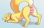  3_toes all_fours anal anal_penetration black_nose butt canine collar double_vaginal female fluffy fluffy_tail fox fur mammal open_mouth penetration raised_tail rear_view red_eyes solo_focus tan_fur toes tongue tongue_out triple_penetration vaginal vaginal_penetration グリン 