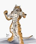  anthro feline male mammal penis rwolf solo tiger 