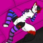  absurd_res andromorph anthro arulouprouge blush canid canine canis clitoris clothing fur genitals girly hi_res intersex legwear mammal solo striped_body striped_fur stripes tights white_body white_fur wolf 