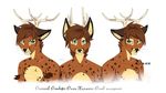  cervine cheetah deer feline hybrid kida_(artist) mammal model_sheet olly_(character) russian_text smile tagme text 