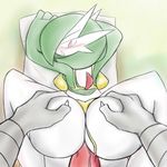  blaziken gardevoir nintendo pok&eacute;mon video_games yougrover 