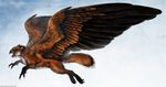  ambiguous_gender avian beak black_beak black_feathers canine claws digital_media_(artwork) feathered_wings feathers feral flying fox fur hybrid isvoc mammal nude open_mouth orage_fur orange_feathers simple_background solo white_fur wings 