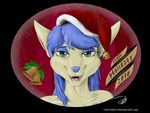  anthro blue_fur blue_hair canine christmas dog female fur green_eyes hair hannah_(thefishe77) hat holidays long_hair looking_at_viewer mammal multicolored_fur open_mouth signature simple_background smile solo tan_fur teeth text thefishe77 tongue 