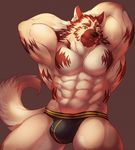 2016 abs anthro armpits biceps big_muscles brown_fur brown_nose bulge canine chain clothed clothing digital_media_(artwork) dog eyebrows front_view fur green_eyes hands_behind_head istani jockstrap looking_at_viewer male mammal multicolored_fur muscular muscular_male pecs smile solo tan_fur topless triceps two_tone_fur underwear wolf 