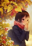  autumn autumn_leaves bag bangs blurry blush breath brown_eyes brown_hair cold depth_of_field enpera food from_side fruit grey_sweater hands_over_mouth highres leaf long_sleeves original own_hands_together pocket red_scarf scarf school_bag school_uniform shoulder_bag solo sweater upper_body w_arms warabimochi_kinako 