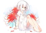  arm_support bare_legs barefoot blue_eyes blush commentary_request feet_together flower hair_between_eyes looking_at_viewer nightgown original otokuyou ringo-chan_(otokuyou) short_hair sitting solo spider_lily white_hair 