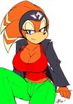 2015 akatsukishiranui-fox anthro big_breasts breasts cleavage clothed clothing echidna female hi_res mammal monotreme shade_the_echidna smile solo sonic_(series) 