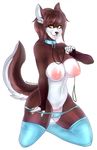  amber_eyes anthro big_breasts breasts brown_hair canine clothing collar female fur hair leash legwear mammal multicolored_fur panties panties_down pussy solo thigh_highs underwear xenchiiru 