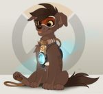  alternate_species brown_eyes brown_fur canine cel_shading collar dog eyewear feral floppy_ears fur furrification goggles hair harness kitchiki leash mammal overwatch simple_background sitting solo tongue tongue_out tracer_(overwatch) union_jack video_games 