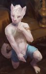  2016 abs alexis animal_genitalia anthro athletic biceps blue_eyes cat chunie clothed clothing clothing_lift detailed_background digital_media_(artwork) feline fur hair hi_res jewelry kneeling looking_at_viewer male mammal navel pants sheath shirt shirt_lift solo underwear white_fur 